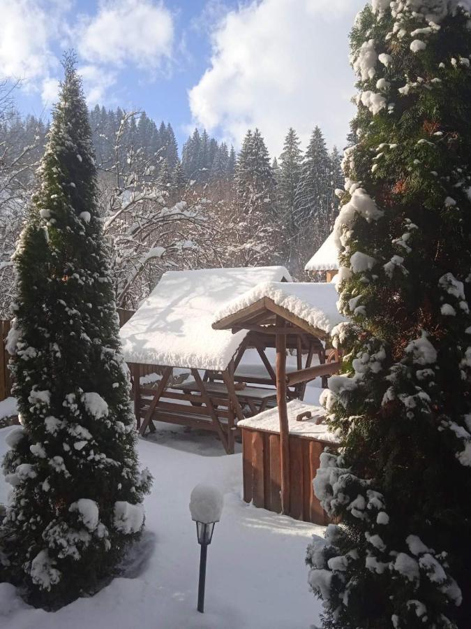 На Березі Черемошу فيرخوفينا المظهر الخارجي الصورة